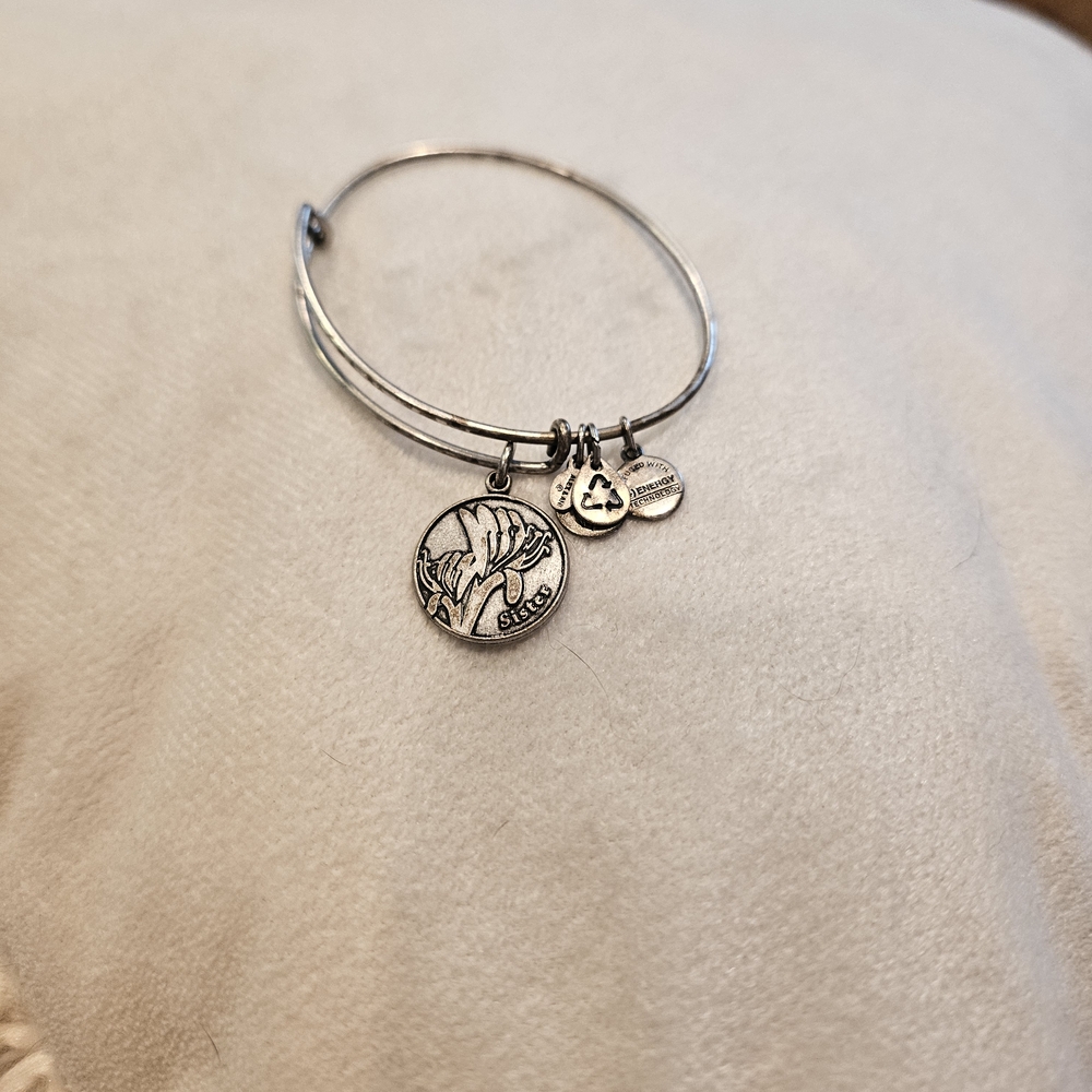 Alex and Ani Silver Charm Bracelet